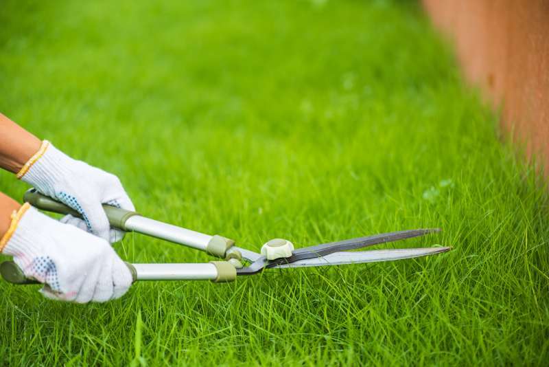 Jak i kiedy wysadzać trawy ozdobne w przydomowym ogrodzie – porady dotyczące sadzenia i dobierania kompozycji roślinnych